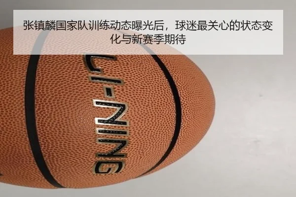 张镇麟国家队训练动态曝光后，球迷最关心的状态变化与新赛季期待